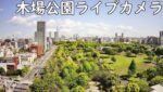 木場公園のライブカメラ|東京都江東区のサムネイル