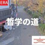 哲学の道のライブカメラ|京都府京都市のサムネイル