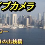東京タワーと竹芝桟橋のライブカメラ|東京都港区のサムネイル