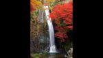 箕面大滝のライブカメラ|大阪府箕面市のサムネイル