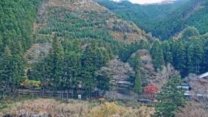 東京都青梅市 MITAKE TERRACEから御岳渓谷のライブカメラ