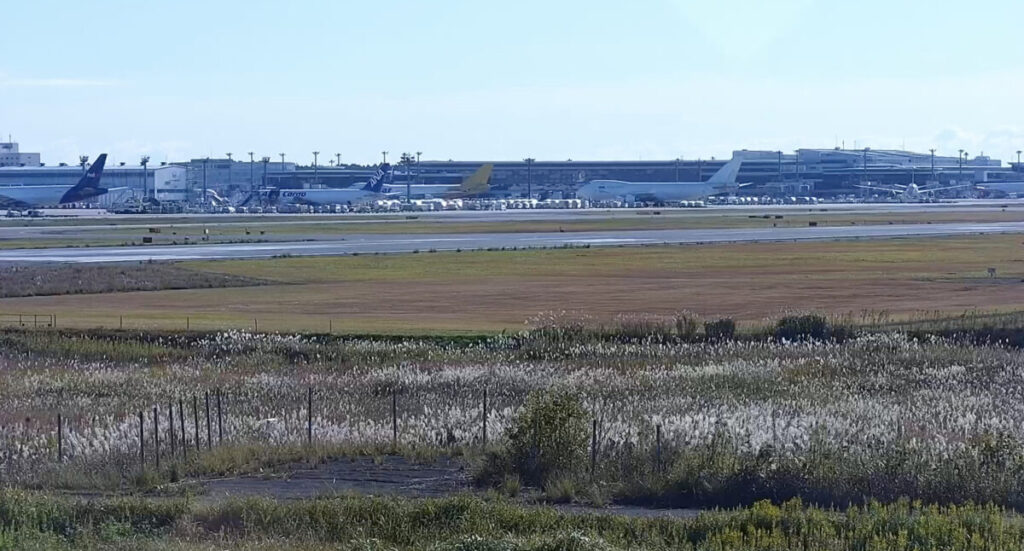 さくらの山から成田空港A滑走路のライブカメラ|千葉県成田市 さくらの山から成田空港A滑走路のライブカメラ|千葉県成田市