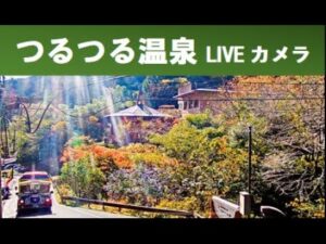 東京都日の出町 つるつる温泉外観のライブカメラ