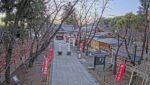 眞田神社境内のライブカメラ|長野県上田市のサムネイル