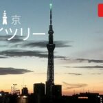 台東区から東京スカイツリーのライブカメラ|東京都台東区のサムネイル