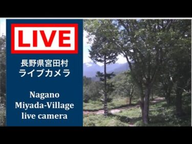 宮田高原キャンプ場のライブカメラ|長野県宮田村