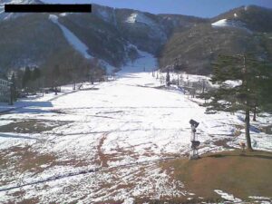 長野県白馬村 エイブル白馬五竜アルプスとおみゲレンデのライブカメラ