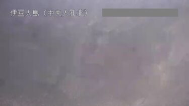 伊豆大島 中央火孔北のライブカメラ|東京都大島町