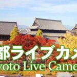 東本願寺前のライブカメラ|京都府京都市下京区のサムネイル