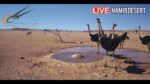 ナミブ砂漠・ゴンドワナナミブ公園のライブカメラ|ナミビア共和国ホマス州のサムネイル