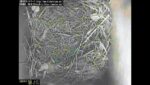 フクロウの巣箱のライブカメラ|群馬県長野原町のサムネイル