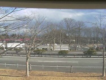 東北自動車道 那須高原サービスエリア下りのライブカメラ|栃木県那須町
