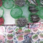 磯貝鮮魚店（えび・貝類）のライブカメラ|新潟県糸魚川市のサムネイル