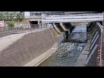 松原市上下水道管理課による東除川のライブカメラ|大阪府松原市のサムネイル