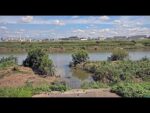 松原市上下水道管理課による大和川のライブカメラ|大阪府松原市のサムネイル