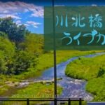 都幾川・川北橋のライブカメラ|埼玉県ときがわ町のサムネイル