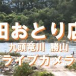 石田おとり店から九頭竜川のライブカメラ|福井県勝山市のサムネイル