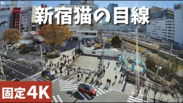 新宿駅東口・クロス新宿ビジョンのライブカメラ|東京都新宿区