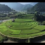 あらぎ島のライブカメラ|和歌山県有田川町のサムネイル