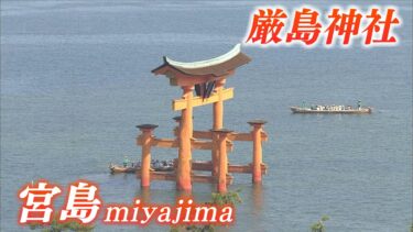 宮島（厳島神社周辺）のライブカメラ|広島県廿日市市宮島町