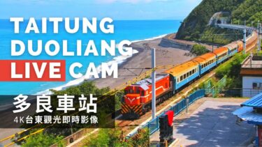 台湾東部鉄道 多良駅のライブカメラ|台湾台東県