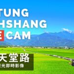 台東池上天堂路のライブカメラ|台湾台東県のサムネイル