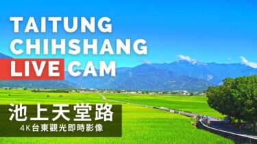 台東池上天堂路のライブカメラ|台湾台東県