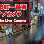 下村ビル付近から歌舞伎町一番街のライブカメラ|東京都新宿区のサムネイル