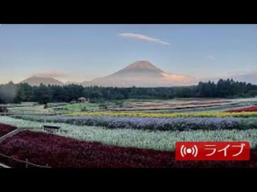 富士本栖湖リゾートから虹の花まつりのライブカメラ|山梨県富士河口湖町