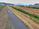 柿沢川 松の木橋のライブカメラ|静岡県函南町のサムネイル