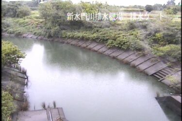 揖斐川 新水門川のライブカメラ|岐阜県大垣市