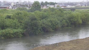 伊自良川 古川橋のライブカメラ|岐阜県岐阜市