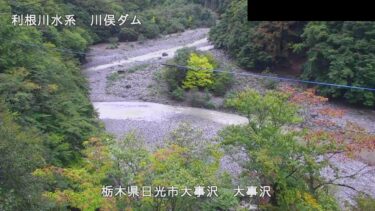 川俣ダム 大事沢のライブカメラ|栃木県日光市のサムネイル