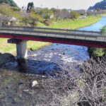 河津川 来の宮橋のライブカメラ|静岡県河津町のサムネイル