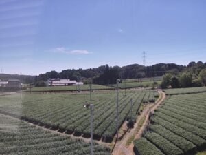 静岡県菊川市 菊川市・茶畑のライブカメラ