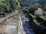 熊野川 熊野地区のライブカメラ|和歌山県田辺市のサムネイル