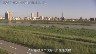 長良川 大縄場大橋のライブカメラ|岐阜県岐阜市のサムネイル