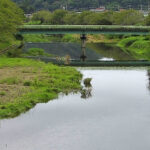 那賀川 伏倉橋のライブカメラ|静岡県松崎町のサムネイル