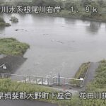 根尾川 花田川のライブカメラ|岐阜県大野町のサムネイル