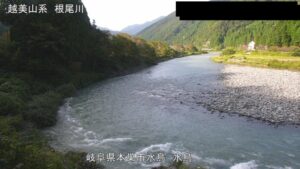 岐阜県本巣市 根尾川 水鳥のライブカメラ