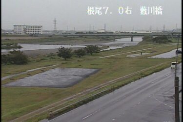 根尾川 藪川橋のライブカメラ|岐阜県大野町のサムネイル