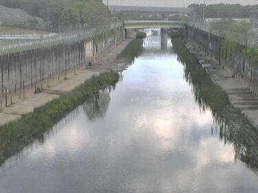 大谷川放水路 大谷のライブカメラ|静岡県静岡市