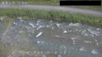 小津川 小津のライブカメラ|岐阜県揖斐川町のサムネイル