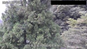 岐阜県揖斐川町 坂内川 白川合流点のライブカメラ