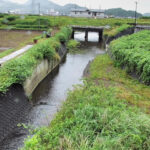 宗光寺川 宗光寺橋のライブカメラ|静岡県伊豆の国市のサムネイル