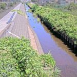 高橋川 青野のライブカメラ|静岡県沼津市のサムネイル