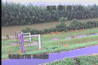 都幾川 野本水位観測所のライブカメラ|埼玉県東松山市