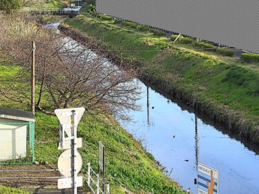 巴川 大谷川分流堰上流のライブカメラ|静岡県静岡市
