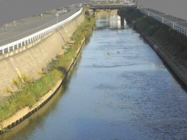 巴川 安東川合流点のライブカメラ|静岡県静岡市のサムネイル