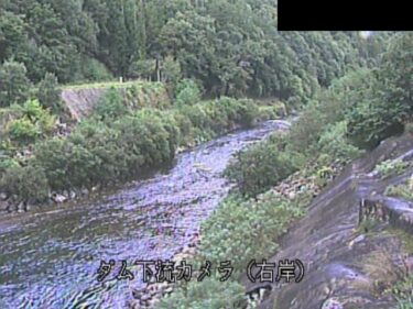 湯西川ダム 下流右岸のライブカメラ|栃木県日光市